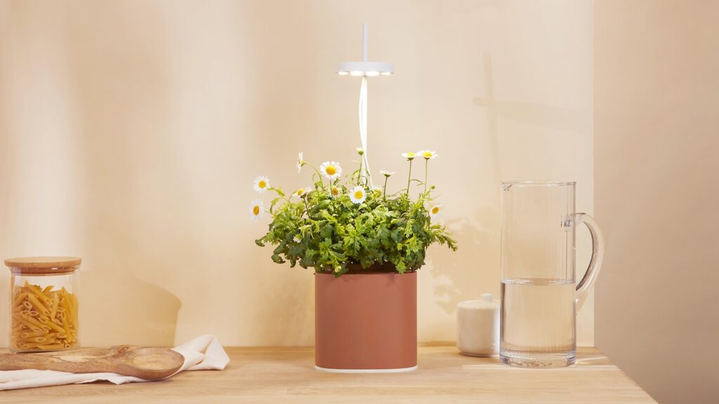 Nano Garden Tiny Smart Planter – TechCraving.com